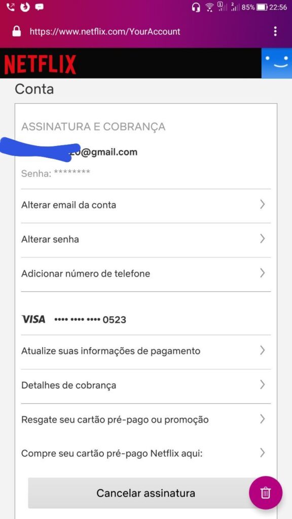 VENDAS E DOAÇÃO DE NETFLIX (HASTAGBLU)
